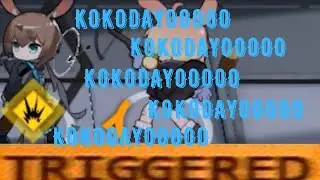 KOKODAYO.EXE
