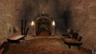 Arx Fatalis - 2 - Прохождение: Гоблины и Тролли