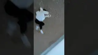 Сняла клип для вас! Ну как???