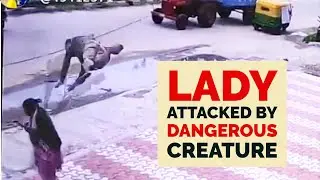 Strange Things Caught On Camera | Unexplained Creatures | 2021