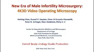 New Era of Male Infertility Microsurgery: 4K3D ORBEYE Video Operating Microscopy