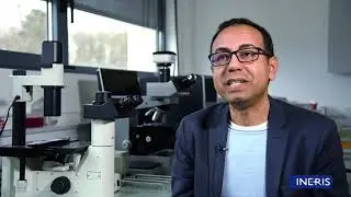 [Paroles de chercheurs] Y a-t-il des marqueurs biologiques pour l'électrosensibilité ?