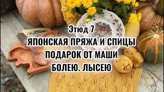 Японская пряжа, японские спицы , подарок от Маши 