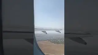 fly in sky
