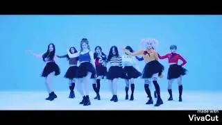 Momoland and Blackpink/I'm an Albatraoz/