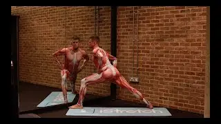 Adductor Magnus, HIP Stretch for Advanced standing lunge