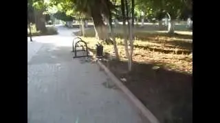 Чисто там ,где не мусорят!