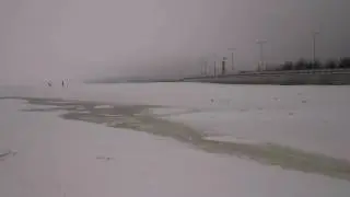 Финский залив
