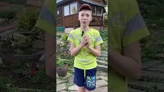 Батя и тамагочи