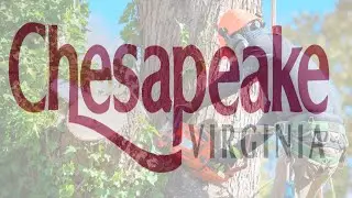 Chesapeake VA Tree Services You Can Trust! Expert Chesapeake VA Tree Removal Tracstar Tree Experts