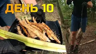 День 10 і 11 Запікаю рогіз, ловлю і готую рибу, збираю і смажу гриби. Останній день чудовий.