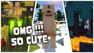 Jicklus | Minecraft Texture Pack 1.16 & 1.17 | Cute pack | Download & Showcase