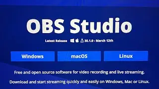 Vector Managers: How to Record Interviews with OBS Studio!