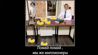 КОМАРУ СЛОМАЛ ЯИЧКИ😱😱😨😨
