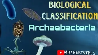 Biological Classification | Part 3: Archaebacteria | #neetmotivation #neetbiology #neetpreparation