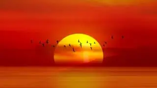 The Sun Will Rise Again-Cohen-HALLELUJAH
