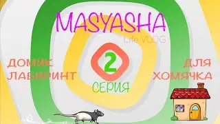 Масяша и папа строят домик из картона для хомячка. Челлендж. Challenge. Вторая серия #2