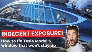 Window Motor Fixed - Tesla Model S