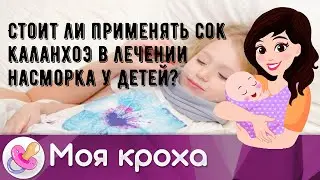 Стоит ли применять сок каланхоэ в лечении насморка у детей?
