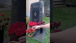27 августа 2024 г.