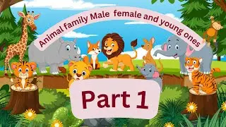 Animal family for kids | Learn animal Male Female and young ones | Kids Educational video | Part -1