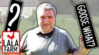 WHAT IS PAPA DOING NOW!? • Visiting our Small Orchard