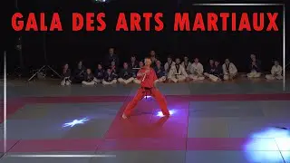 MA DÉMONSTRATION AU 15EME GALA DES ARTS MARTIAUX | BELLEVILLE 2022