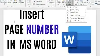 Insert Page number in Ms Word