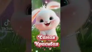 28 апреля 2023 г.