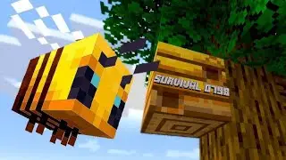SURVIVAL 0798 (11) [EM BUSCA DE FAVO DE MEL🍯]