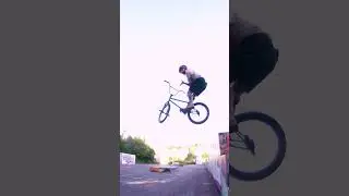 That sui to bearskin though! | Ride UK BMX  