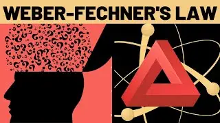 Weber- Fechner's Law Explained