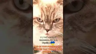 Коли питають якої ти національності?😎😎😊/ When asked what nationality are you? 😎😊 #shorts