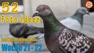 52 kreative Foto Ideen erklärt: Bild 21 und Bild 22