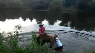 Конное хобби в реке