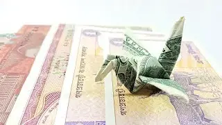 Dollar Bill Origami - Making a Bird With Money
