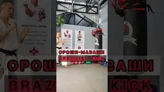 🔥Ороши Маваши | Brazilian kick