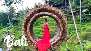 Bali🎋Beautiful Locations / Indonesia 🇮🇩 Tempat yang indah / Alas Harum rice terraces