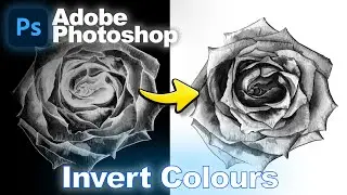 How to Invert Colors in Photoshop