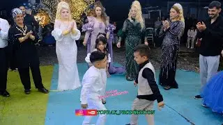 ömer ve zehra #oynuyor  işte şhow yeni#romandüğünleri #2024 #toprakprodüksiyon #dance #romanhavası