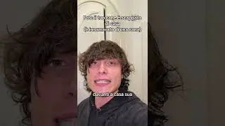 il mio cane è scappato di casa  