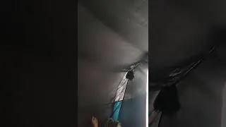 17 июля 2024 г.