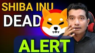 BREAKING: Is Shiba Inu Coin Dead | Shiba Inu Coin News Today | Cryptocurrency
