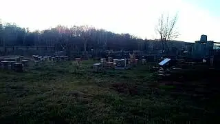 миг на пасеке 3 ноября 2022 г.