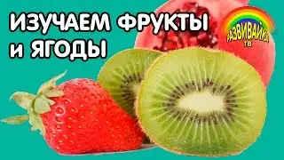 Мультики для малышей. Учим фрукты и ягоды. Карточки Домана.