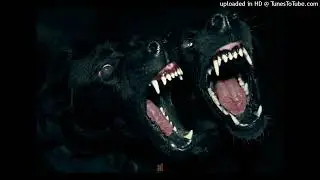 JAAH SLT x SSG SPLURGE -DOG POUND-