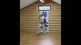 #karate #hanshi #martialarts #kyokushinkarate #kyokushin
