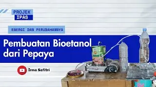 PROJEK IPAS ENERGI DAN PERUBAHANNYA - PEMBUATAN BIOETANOL DARI PEPAYA