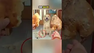 This dog gives her puppy everything ❤️