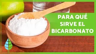 Benefits of Baking Soda 🥣 (Properties, What It's Used For and How to Use It)